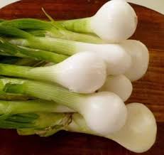 Onion- Spring Pompei