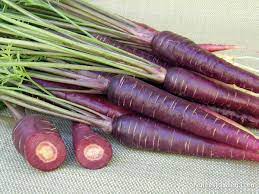 Purple Elite – Carrot Seed