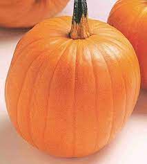 Pumpkin Almond Tom Fox Organic Vegetable Seeds for Planting