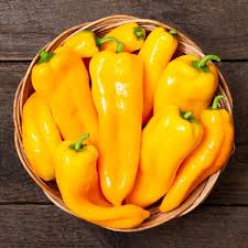 Cornito Giallo – Organic Corno di Toro Pepper Seed