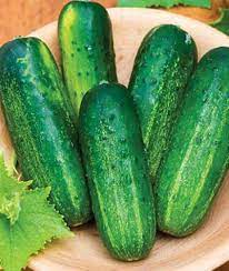 Nokya – Cucumber Seed