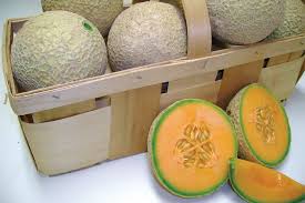 Sugar Cube – Melon Seed