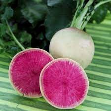 Radish- Rido Red F1