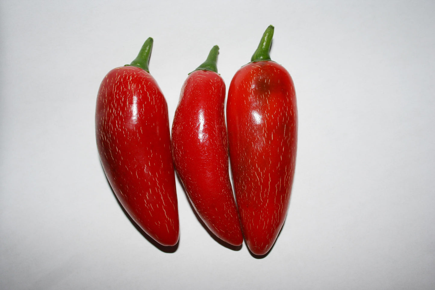 Jalafuego – Jalape?o Pepper Seed