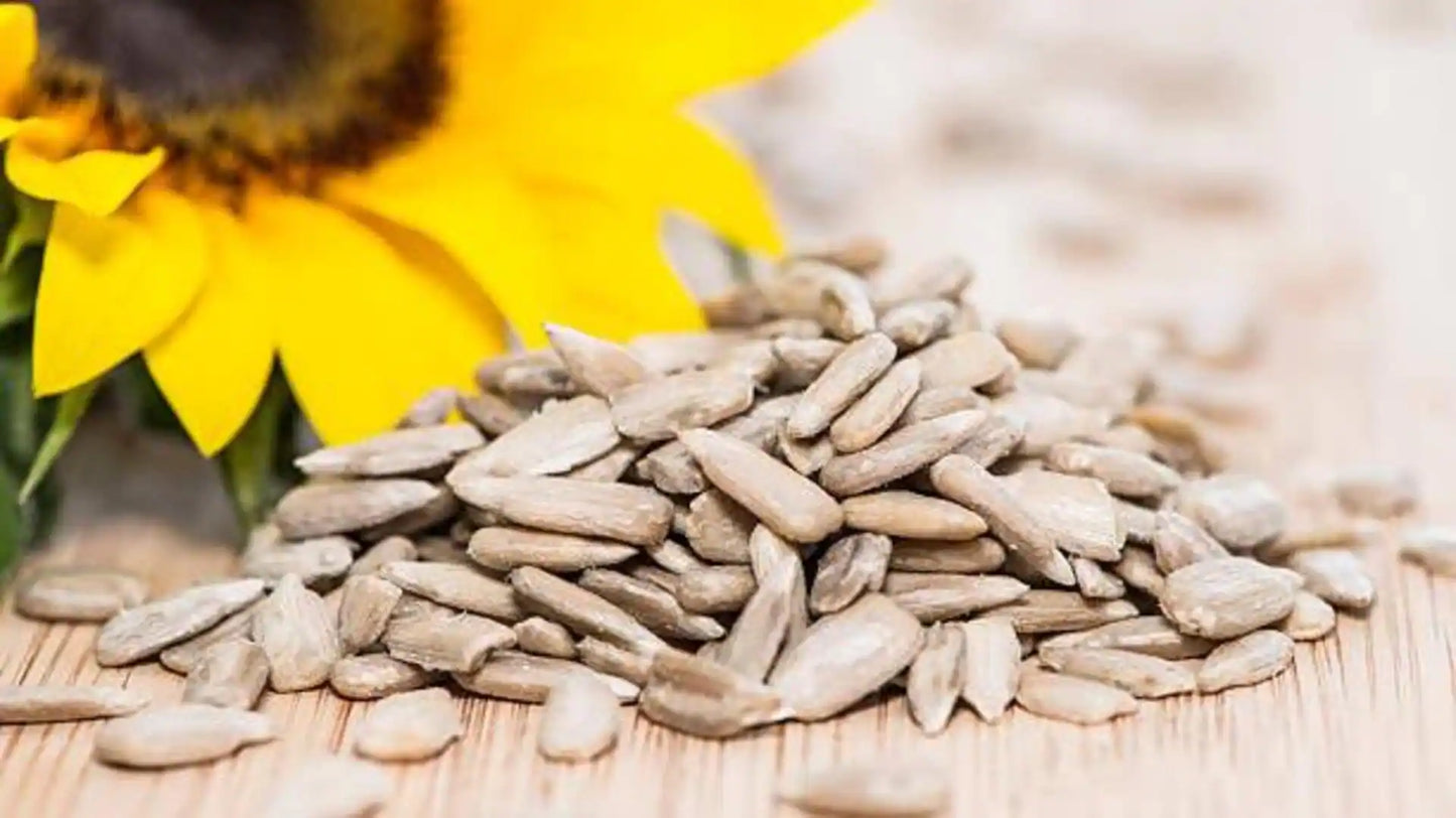 Sweet Sunflower Seeds