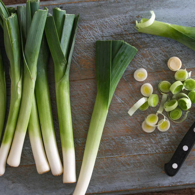 Takrima – Leek Seed