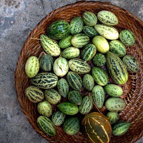 Foot Kachri Seeds