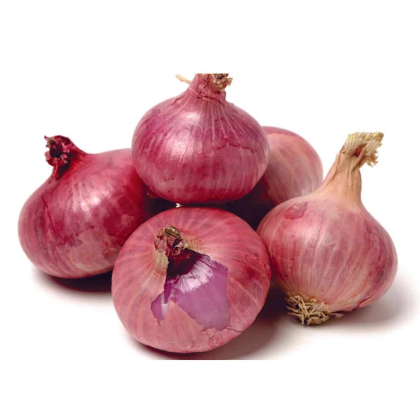 Monastrell – Organic Onion Seed
