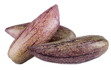 Rare Giant Purple Pepino Fruit Plant (Solanum muricatum) Seeds for Planting - A Rare and Sweet Melon-Like Fruit to Enhance Your Garden