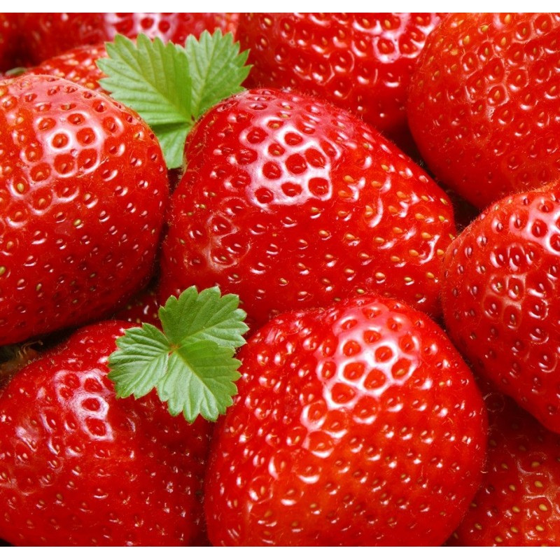 Strawberry Seeds