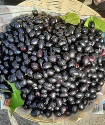Jamun Seeds