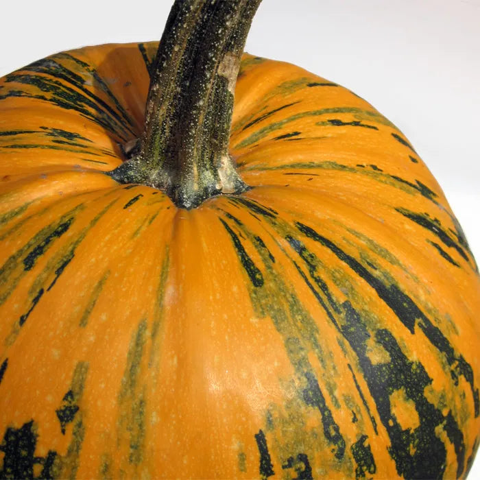 Kakai – Organic Pumpkin Seed