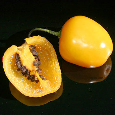 Rocoto Yellow (Rocoto Amarillo) Pepper Seeds for Vegetable Planting - Heirloom and Non-GMO Garden Seeds