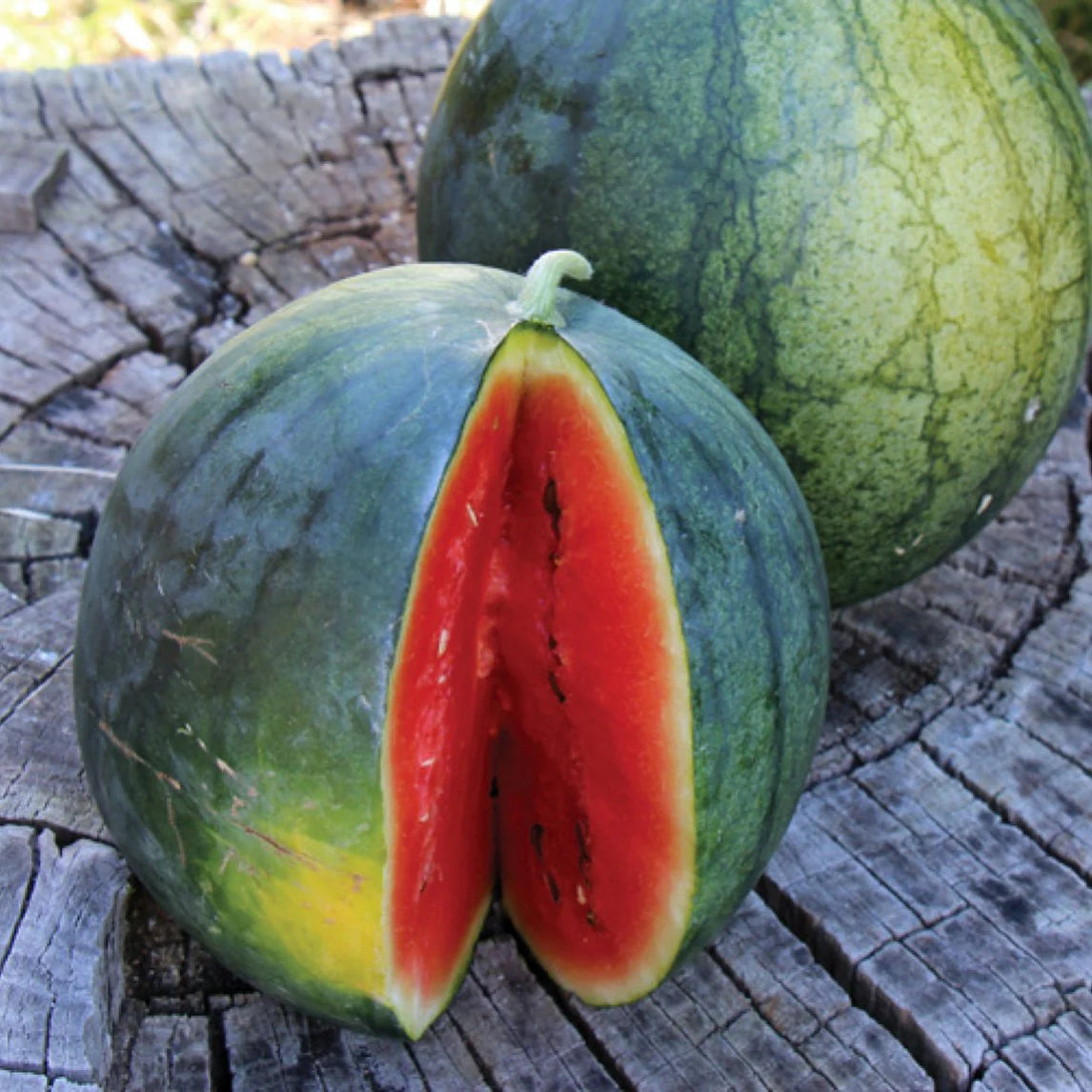 Watermelon- Blacktail Mountain