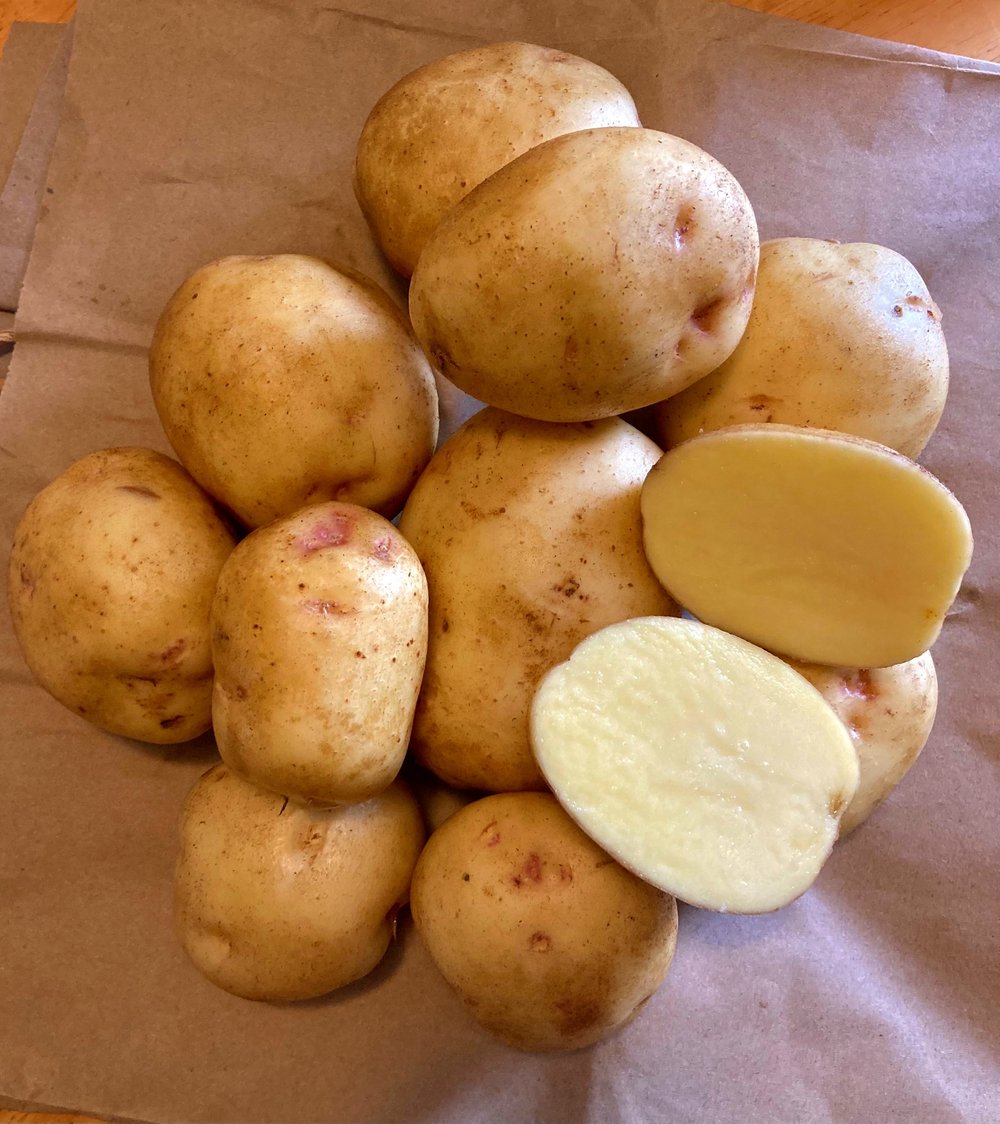 Elba – Organic Seed Potatoes