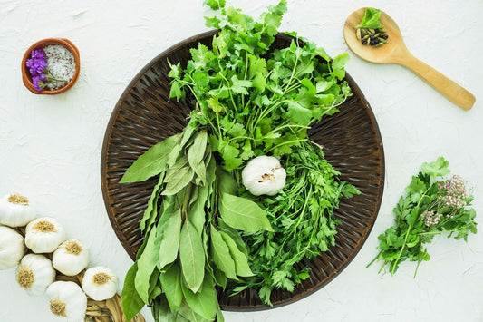 Growing an Indoor Herb Garden
