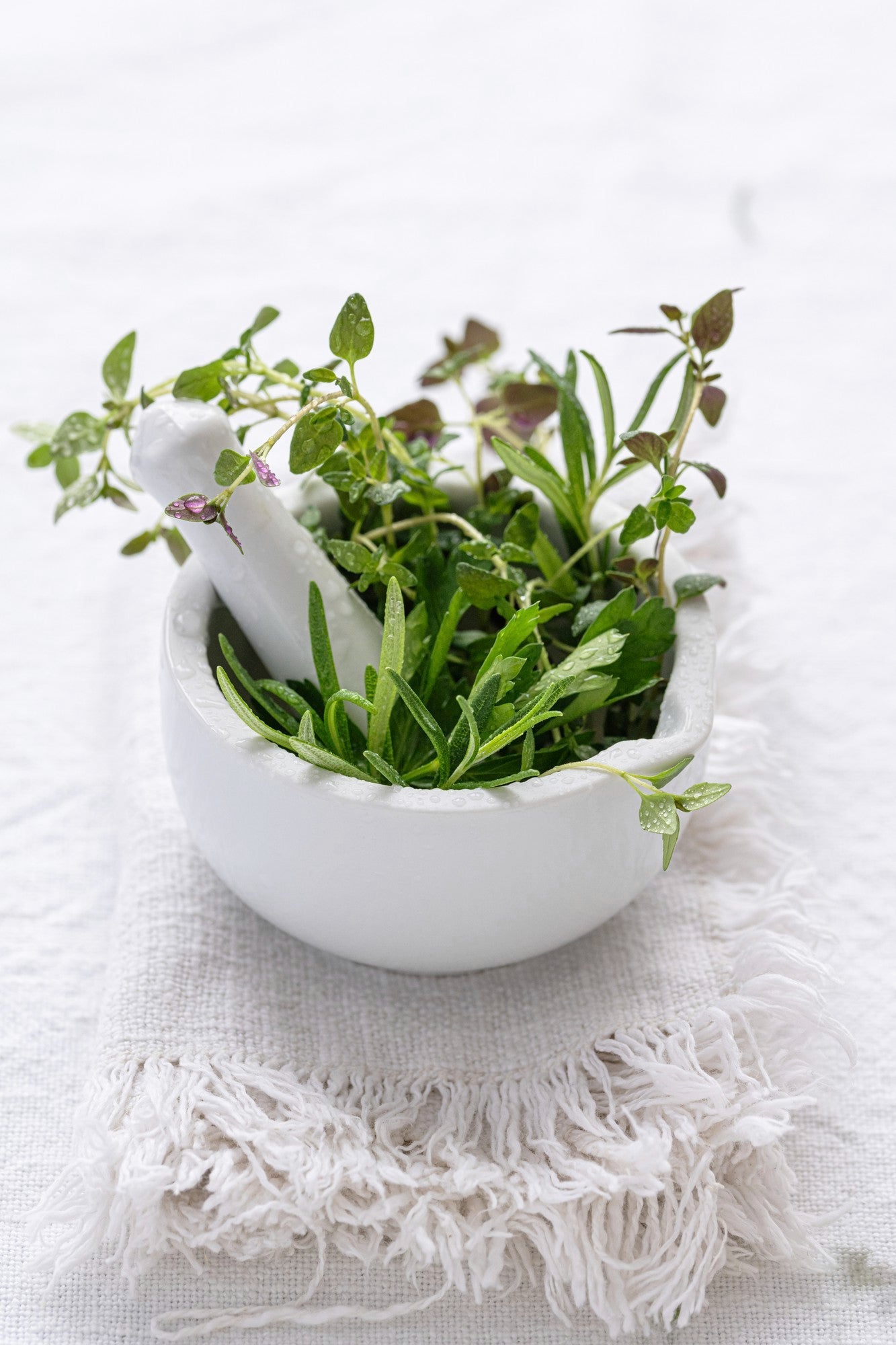 Herb Seeds