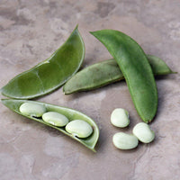 Eastland Lima Bean Seeds