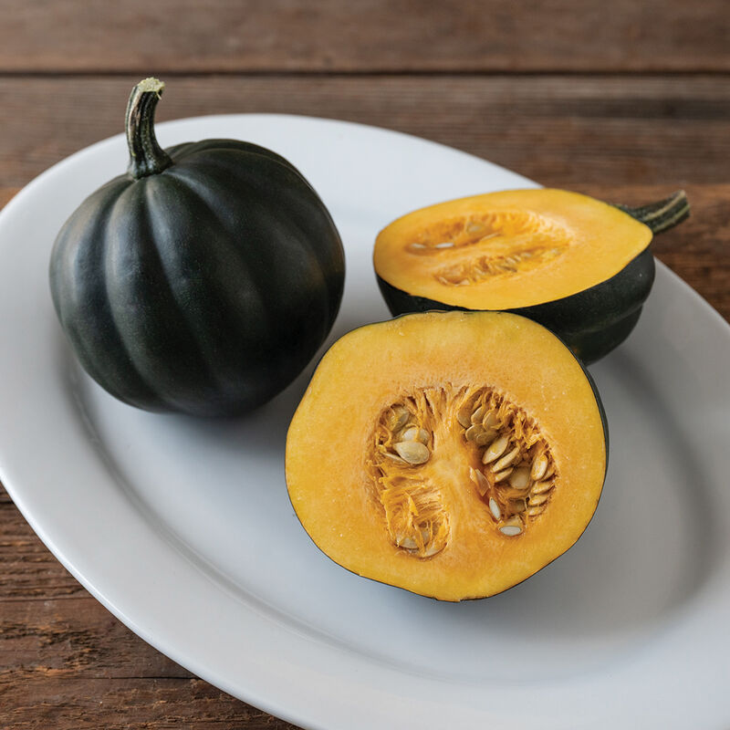 Autumn Delight – Acorn Squash Seed