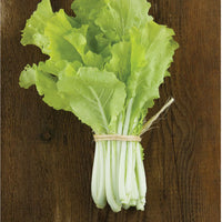 Fusion – Organic Lettuce Seed