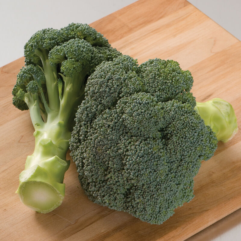 Imperial – Broccoli Seed