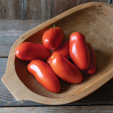 Pozzano – Organic Tomato Seed