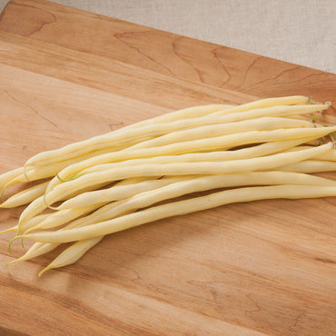 Monte Gusto – Bean Seed