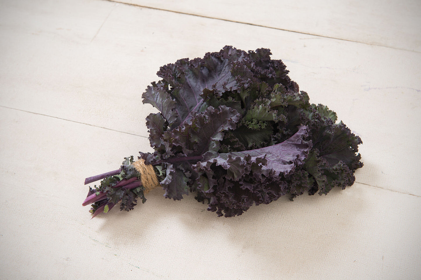 Frise Rouge – Organic Kale Seed