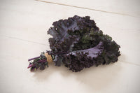 Frise Rouge – Organic Kale Seed