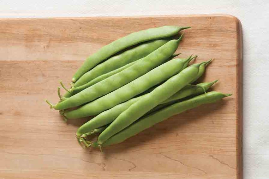 Dulcina – Bean Seed