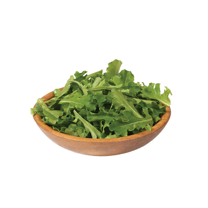 Clearwater – Organic Lettuce Seed