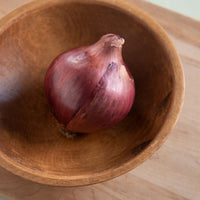 Red Rock – Onion Seed