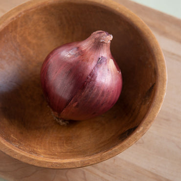 Red Rock – Onion Seed