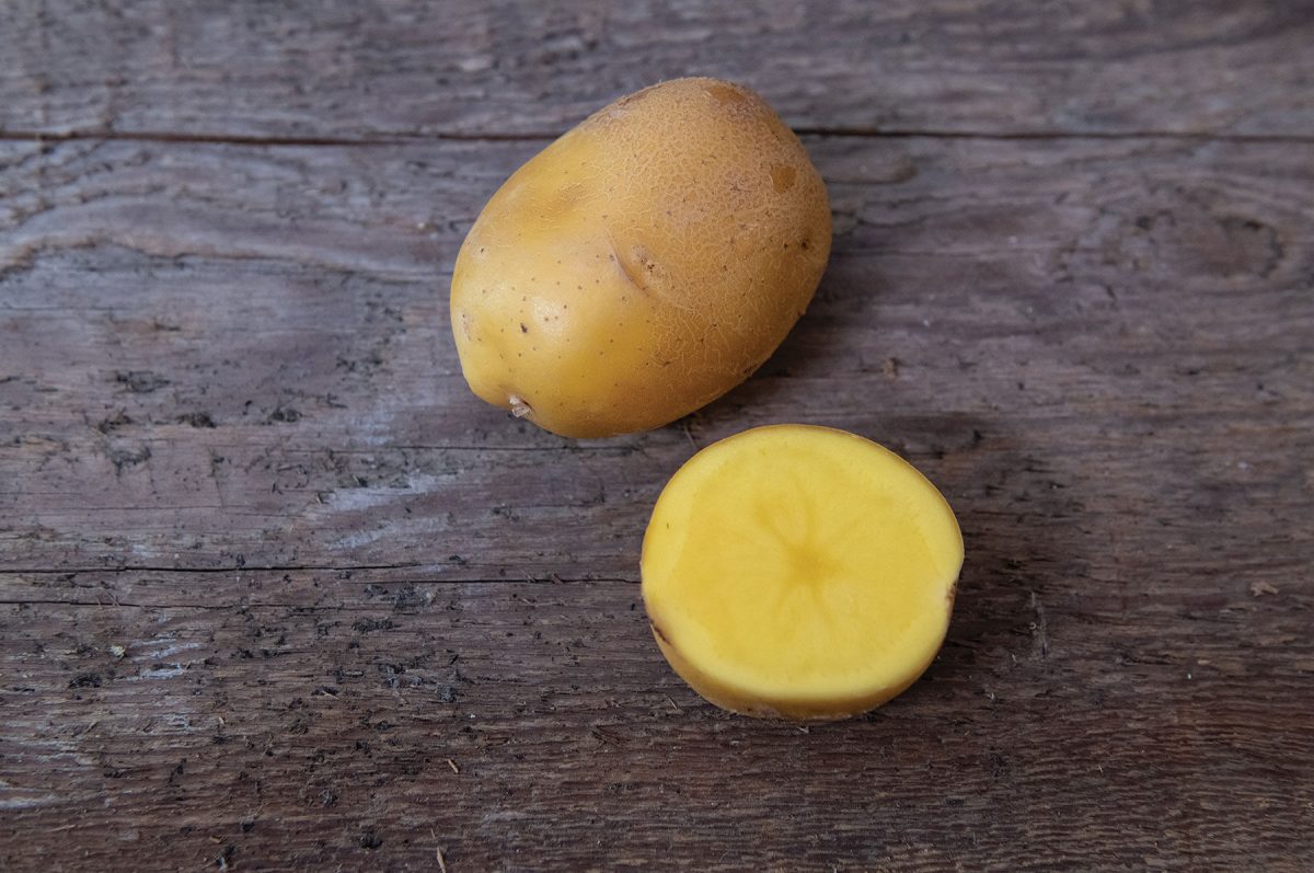 Natascha – Seed Potatoes