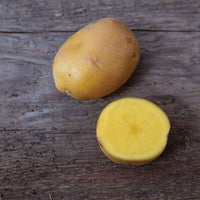 Natascha – Seed Potatoes