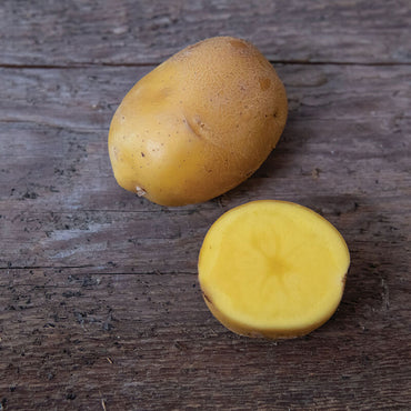 Natascha – Seed Potatoes