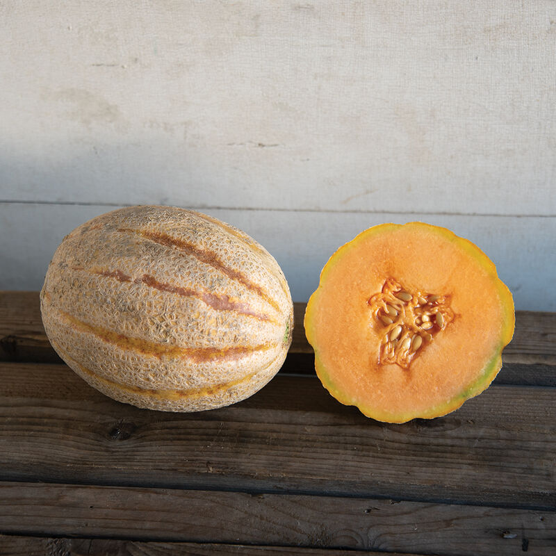 Hannah’s Choice – Melon Seed