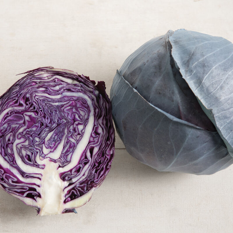 Omero – Cabbage Seed
