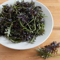 KX-1 – Organic Kale Seed