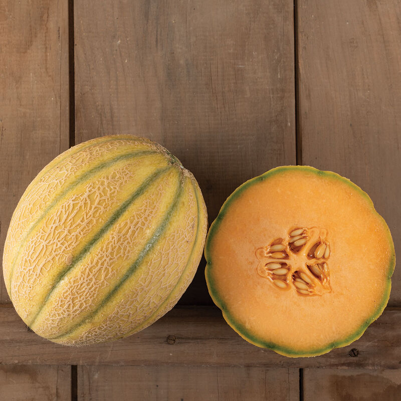 Milan – Melon Seed