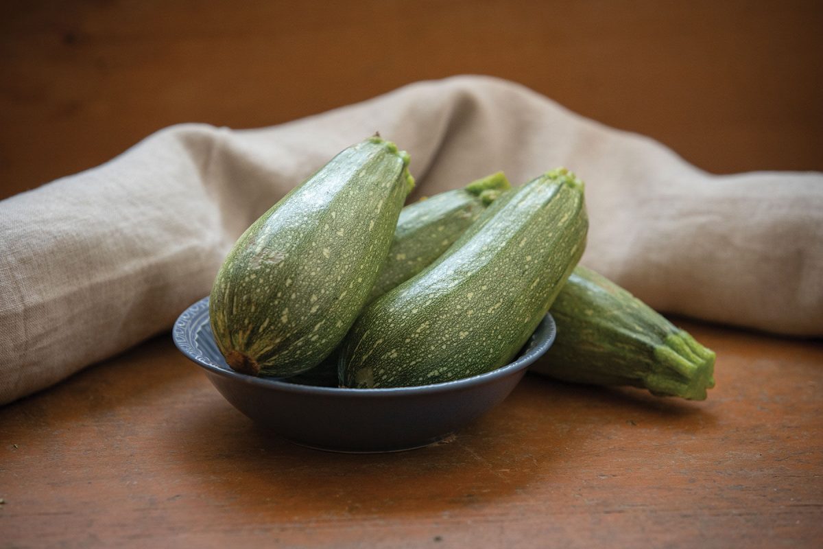 Mexicana – Organic Zucchini Squash Seed