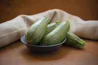 Mexicana – Organic Zucchini Squash Seed