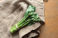 New Melody Broccoli Seeds