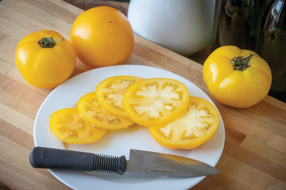 Lemon Boy Plus – Yellow Beefsteak Tomato Seeds