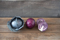 Primero – Organic Cabbage Seed