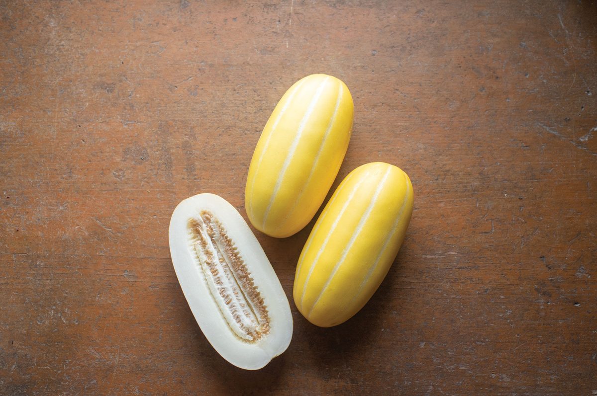 Golden Giant – Melon Seed