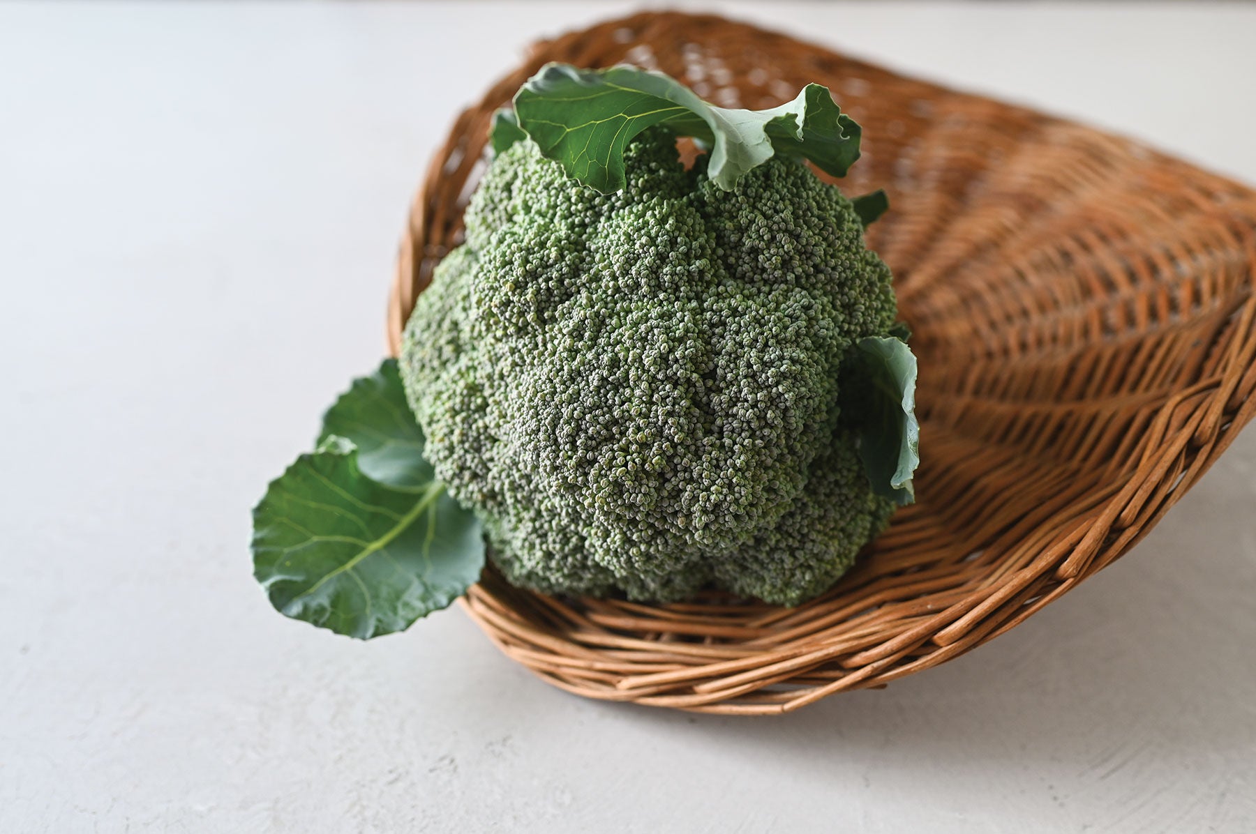 Kariba – Broccoli Seed