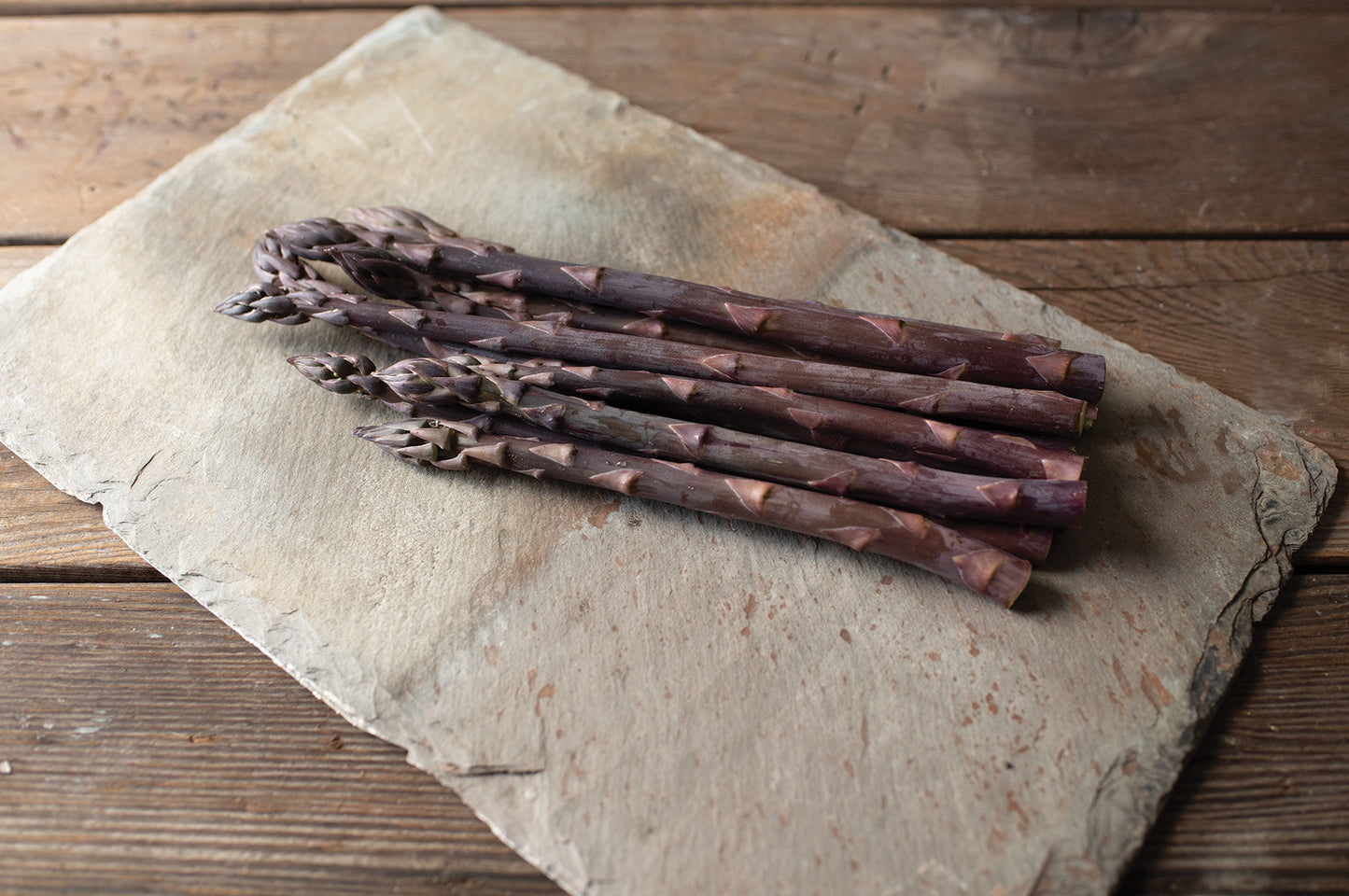 Erasmus – Purple Asparagus Seeds
