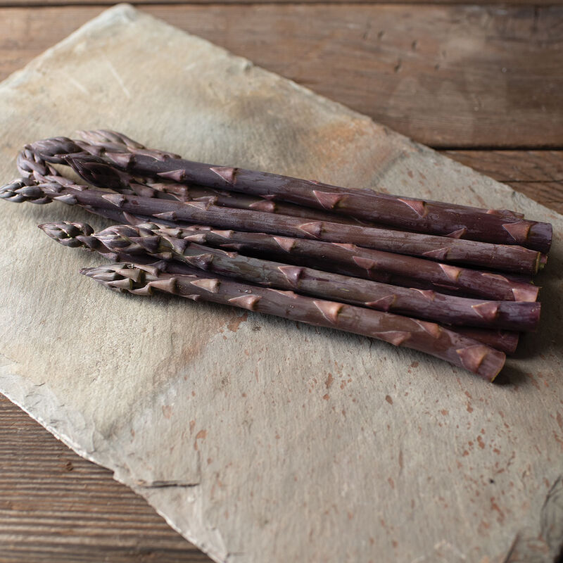 Erasmus – Purple Asparagus Seeds