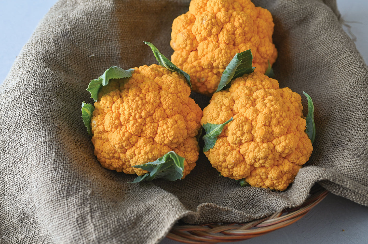 Clementine – Orange Cauliflower Seeds
